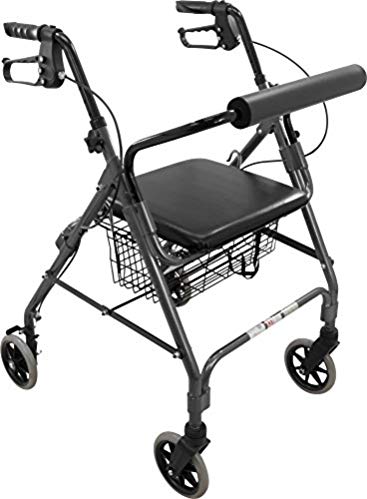 ProBasics Aluminum Rollator with 6-inch Wheels, Padded Seat and Backrest, Height Adjustable Handles, Folds for Storage & Transport, 300 Pound Weight Capacity, Black